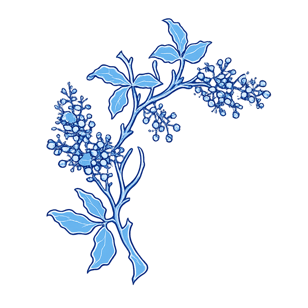 Blue Ginger Family Restaurant